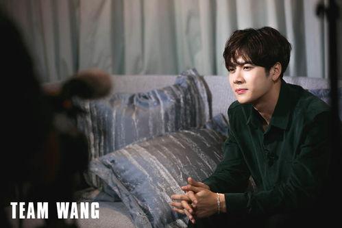 爆料阿飞王嘉尔视频,揭秘明星私下真实一面  第1张